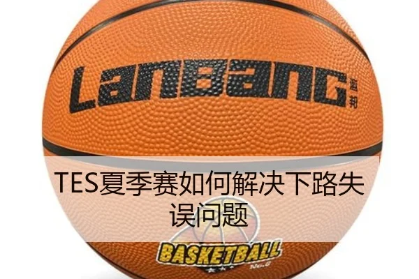TES夏季赛如何解决下路失误问题